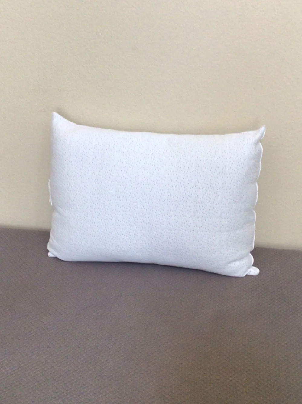 New Standard Pillow